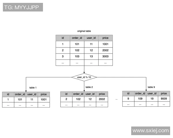 F1赛车燃料策略对比赛成绩的关键影响及优化分析